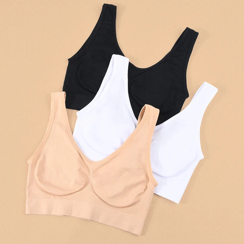 Comfort Bliss Seamless Bras